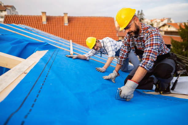 Best Roof Ventilation Installation  in Cherryland, CA